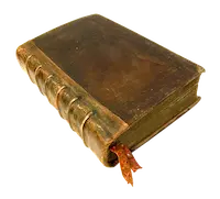 LARP Codex